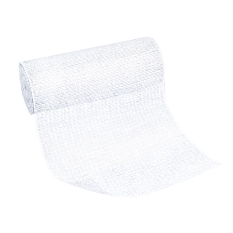 BSN 4730300