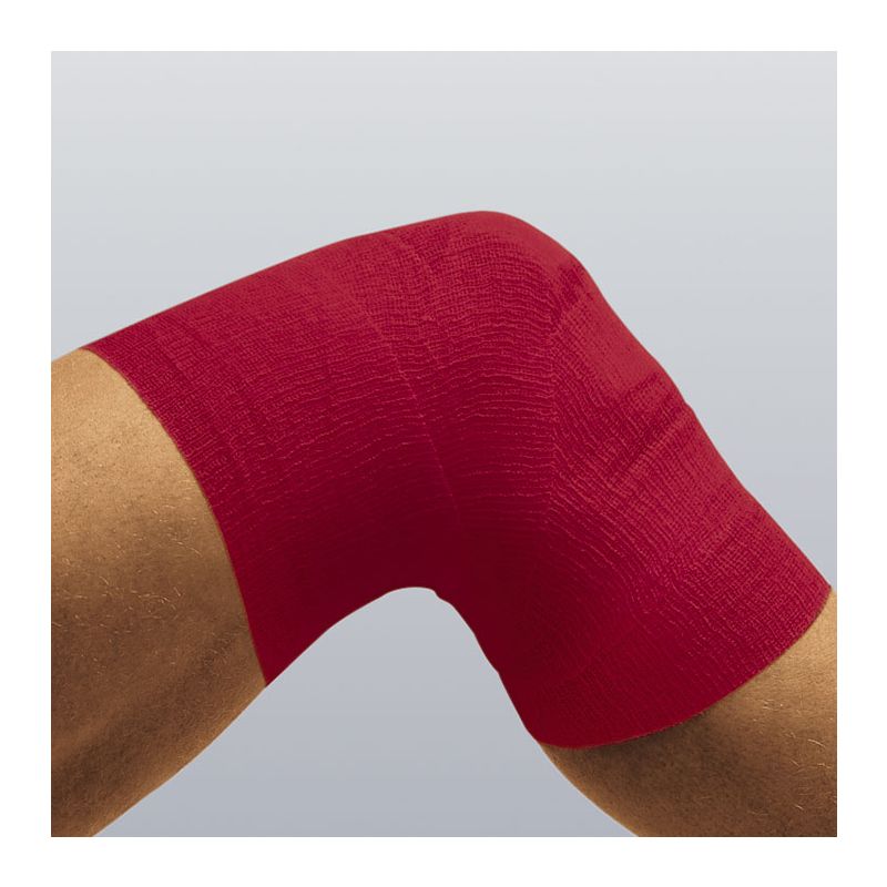 BSN 4537500