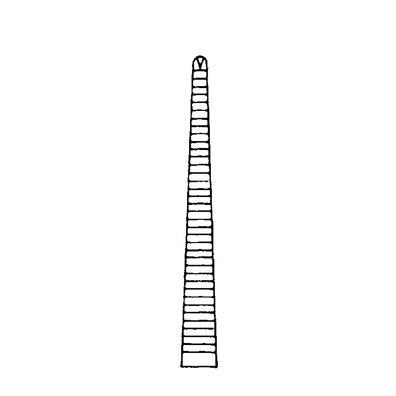 MAR 133221207