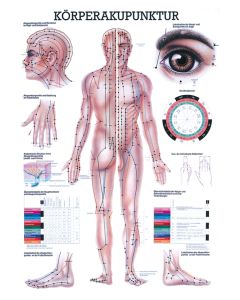 anat. Mini-Poster: Körperakupunktur